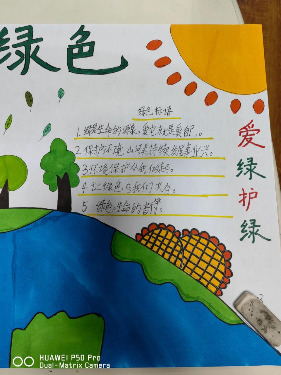 爱绿护绿  手抄报 爱绿护绿  手抄报