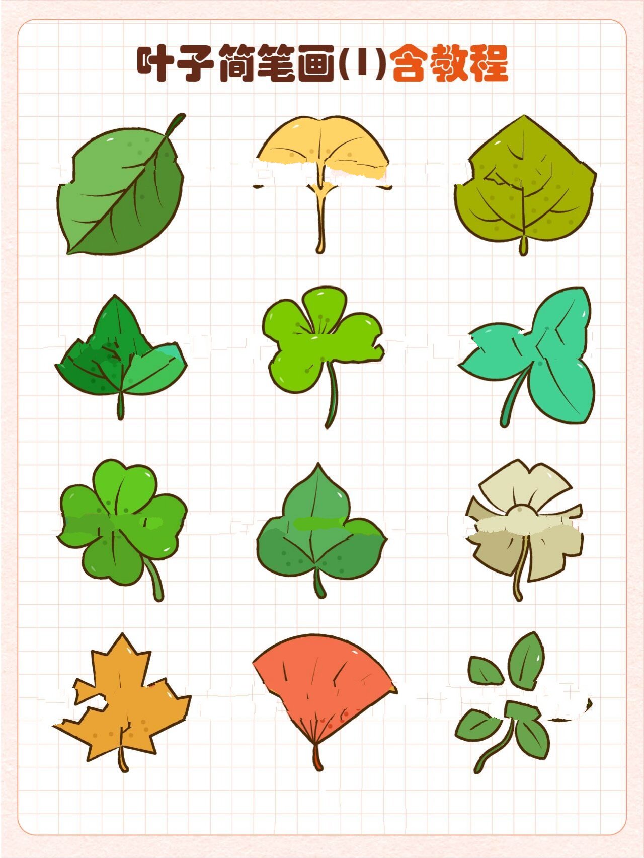 叶子简笔画丨植物叶子简笔画 卡通叶子绘画