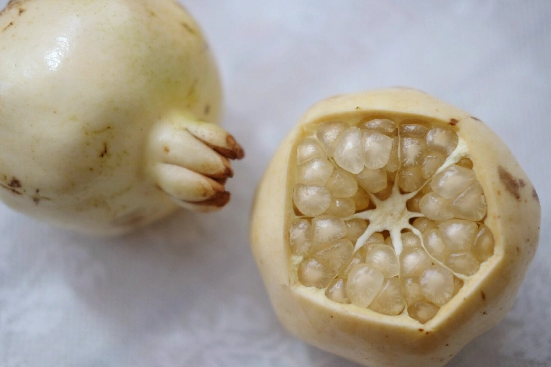 安徽怀远白玉石籽石榴 看起来白玉无瑕,以为没有成熟,其实意见是熟透