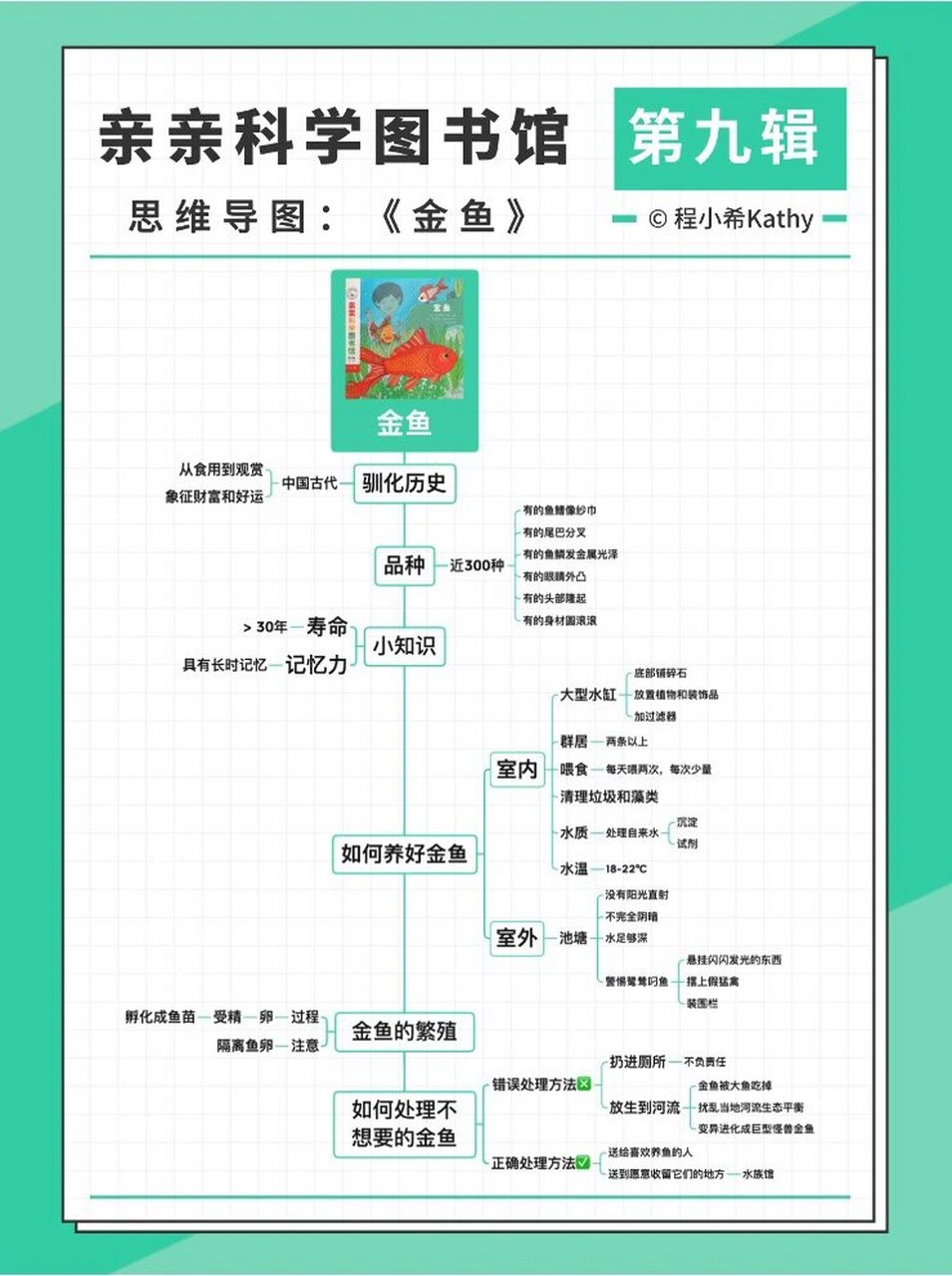 金鱼的思维导图怎么画图片