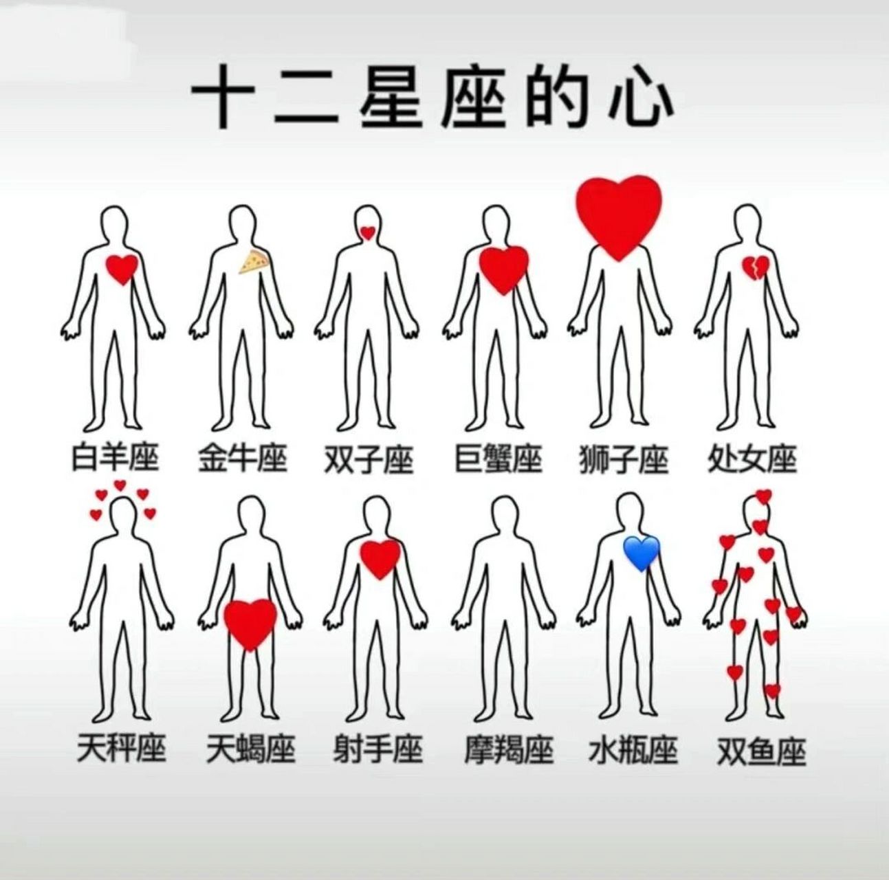 12星座的心在哪 为什么有个人没有心呀 我很想知道摩羯座的心在哪里