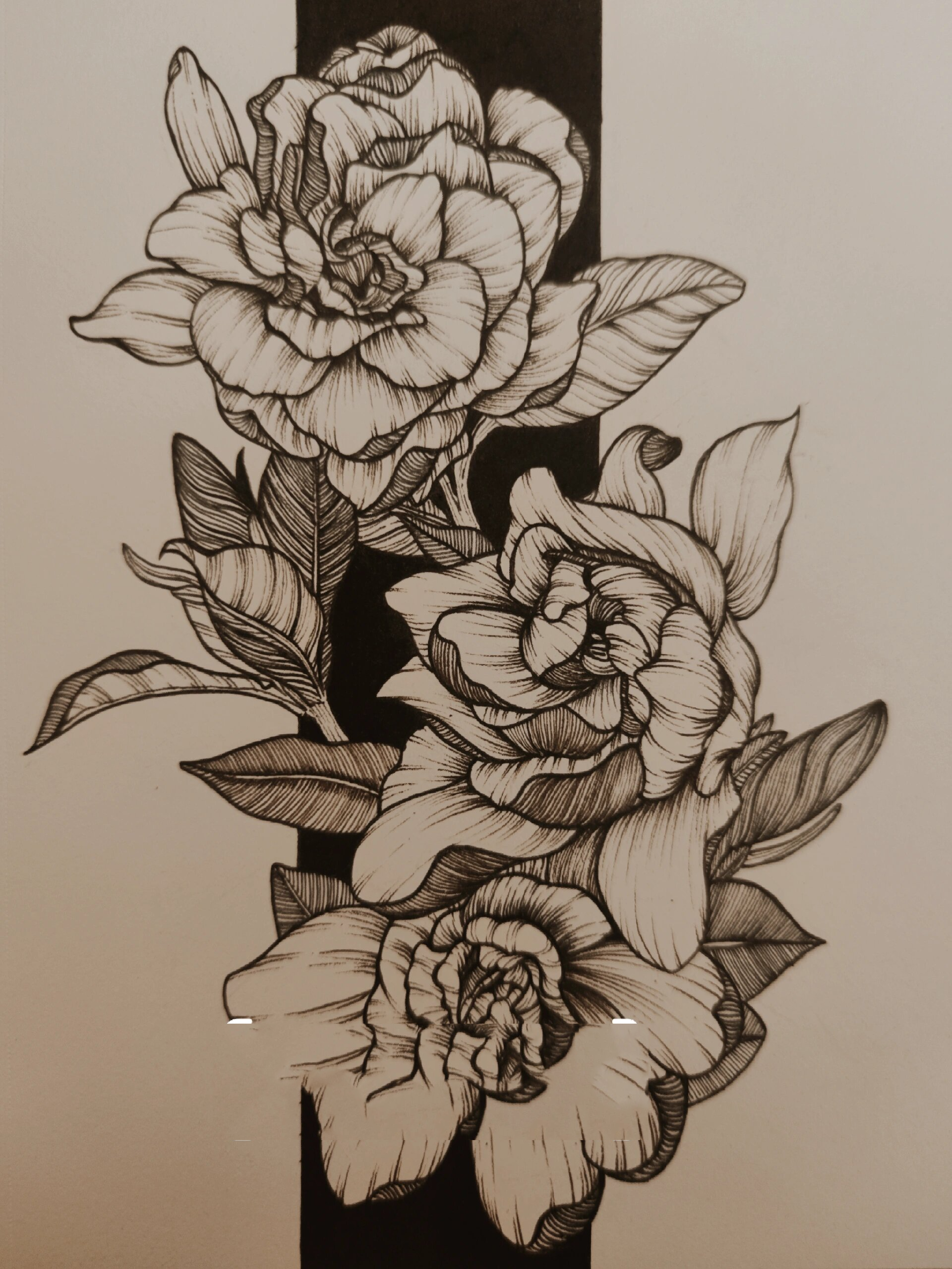 线描(72/100)花卉篇