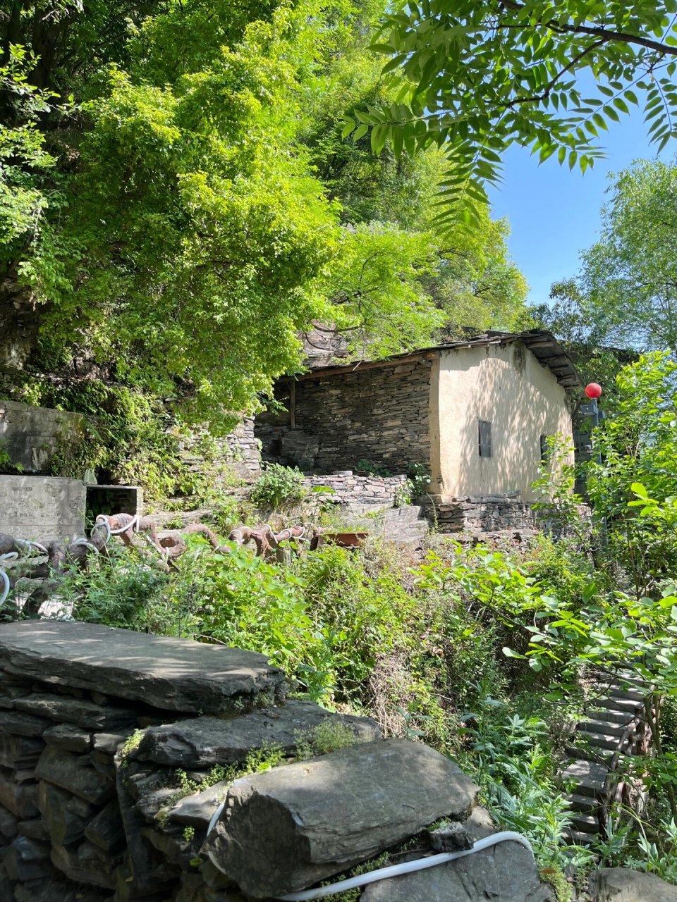 在旬阳坐大巴车去蜀河古镇,很方便,票价15元,一路上汉江的美景一牢揶