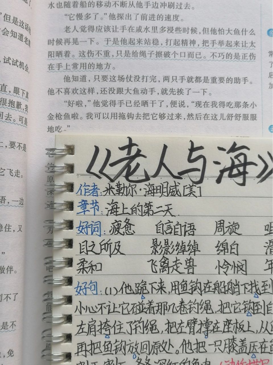 《老人与海》读书笔记. "跨山越海" 也就偶尔诈尸一下.
