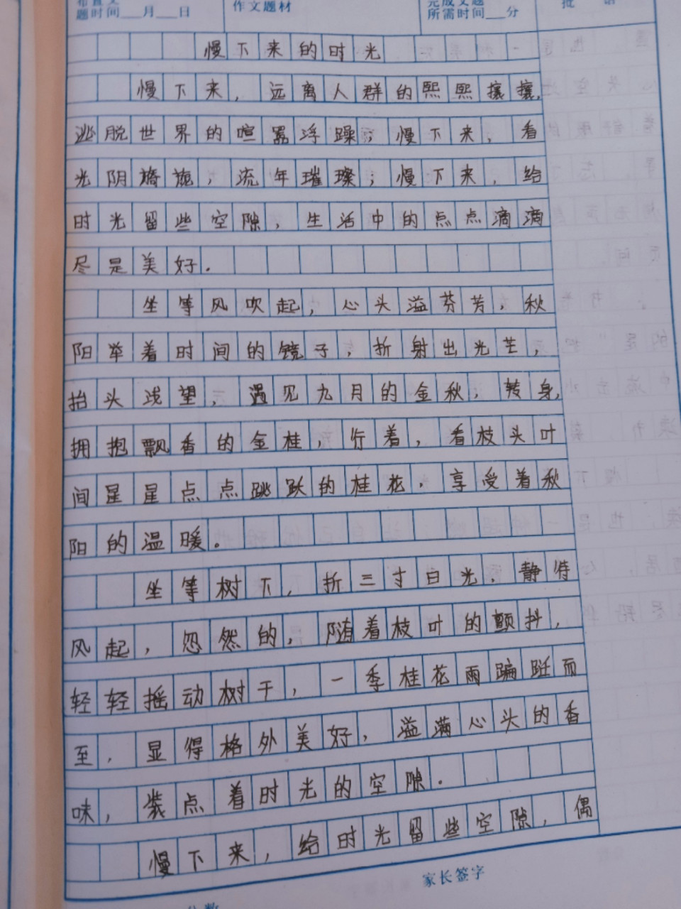 手写摘抄作文500字