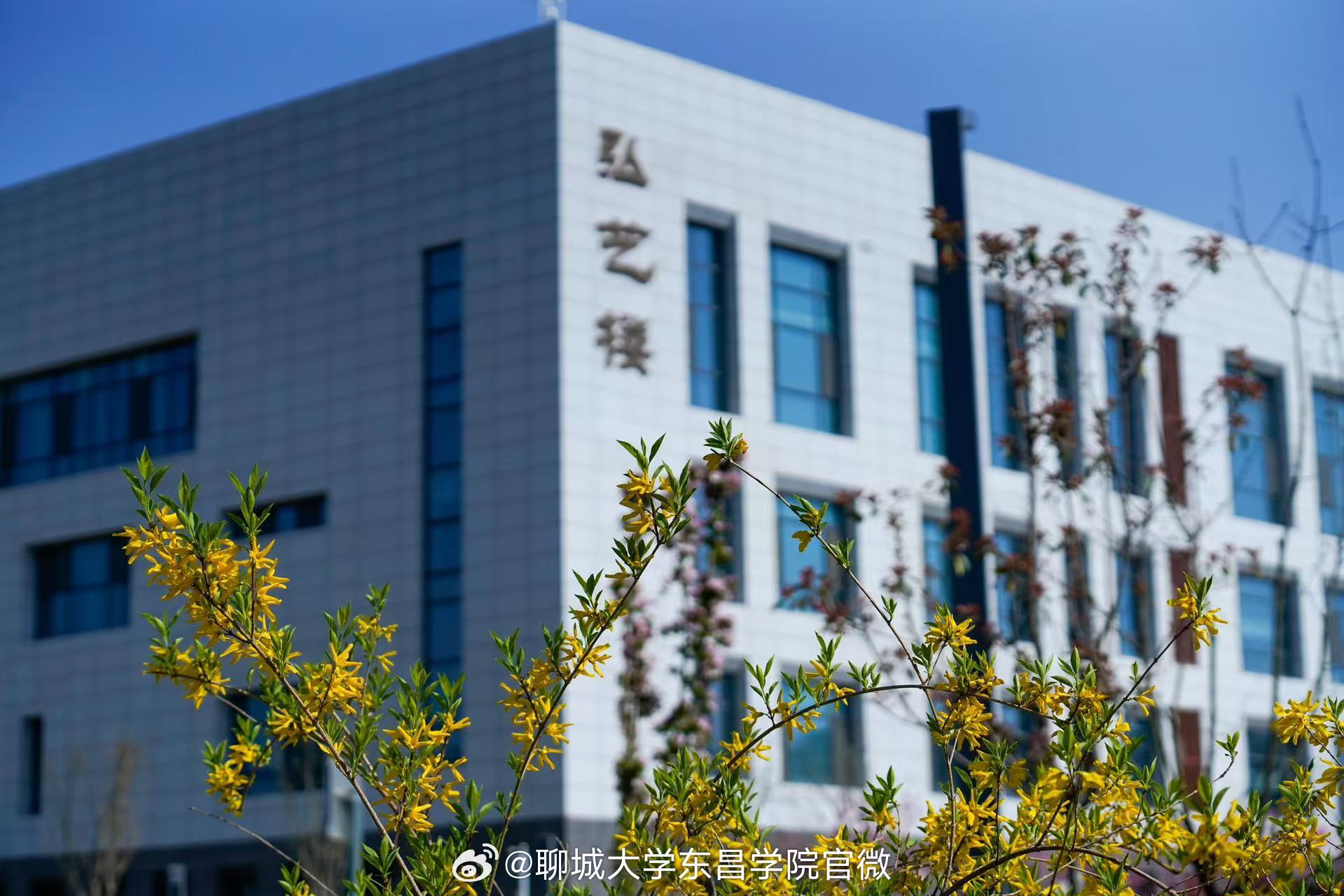 聊城大学东昌学院超话#早安东昌#