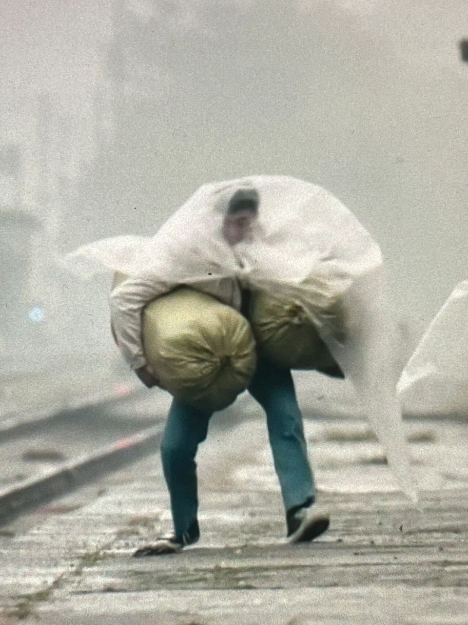 原来这个"在生活的暴风雨中艰难前行"的人是张译阿 哈哈哈哈哈哈哈