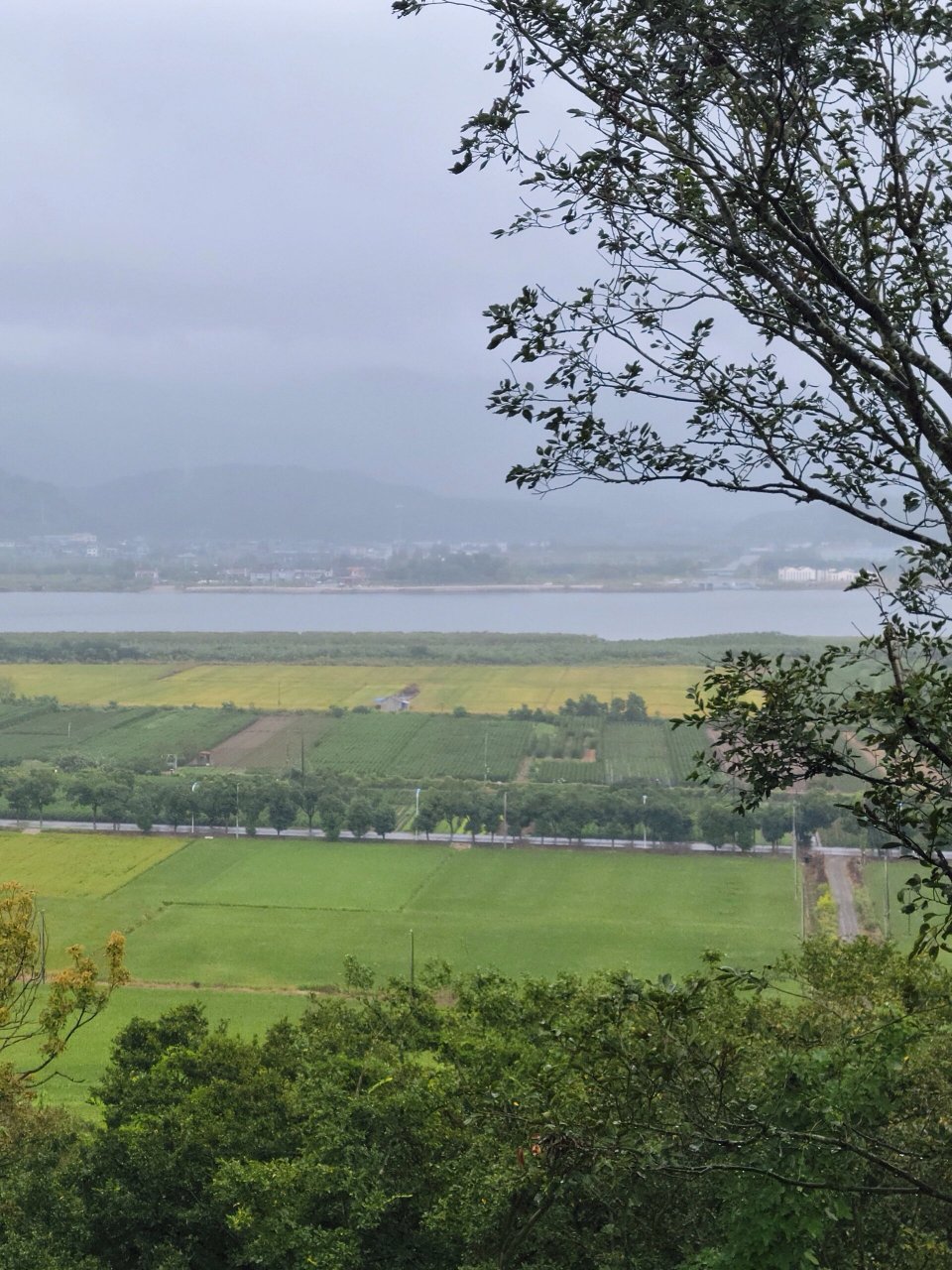 宁波北仑梅山岛图片