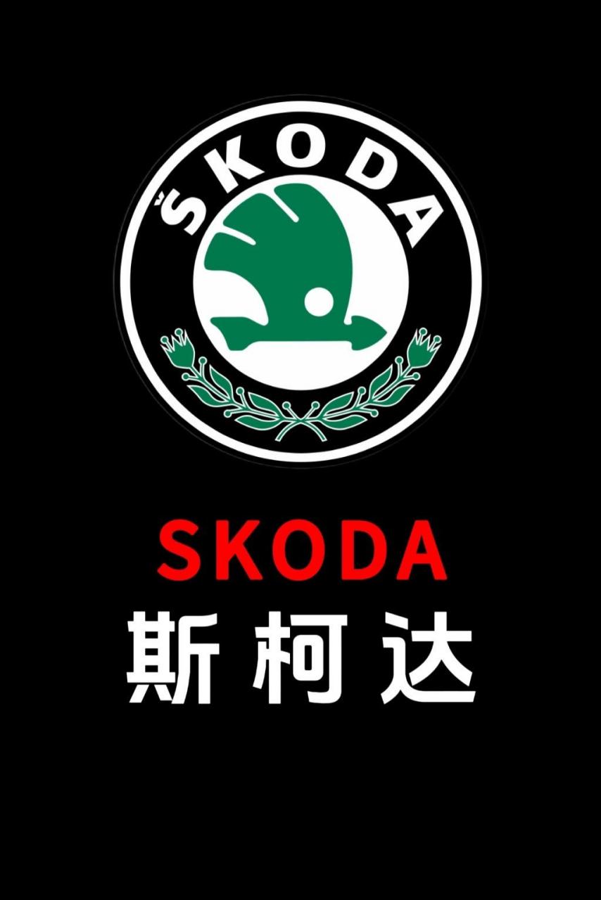 斯柯达汽车报价及图片.