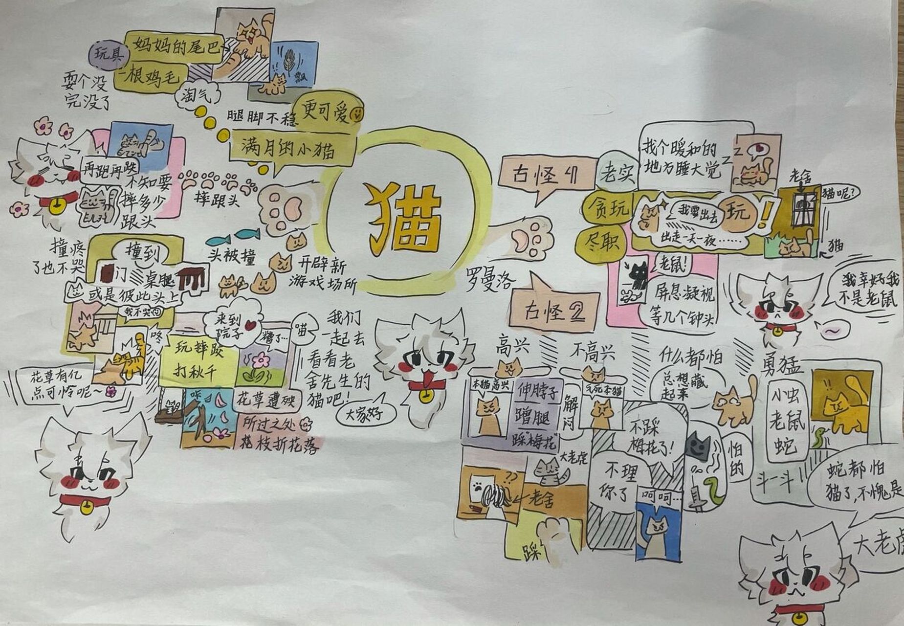 四年级下册老舍的《猫》思维导图来袭～喜欢吗