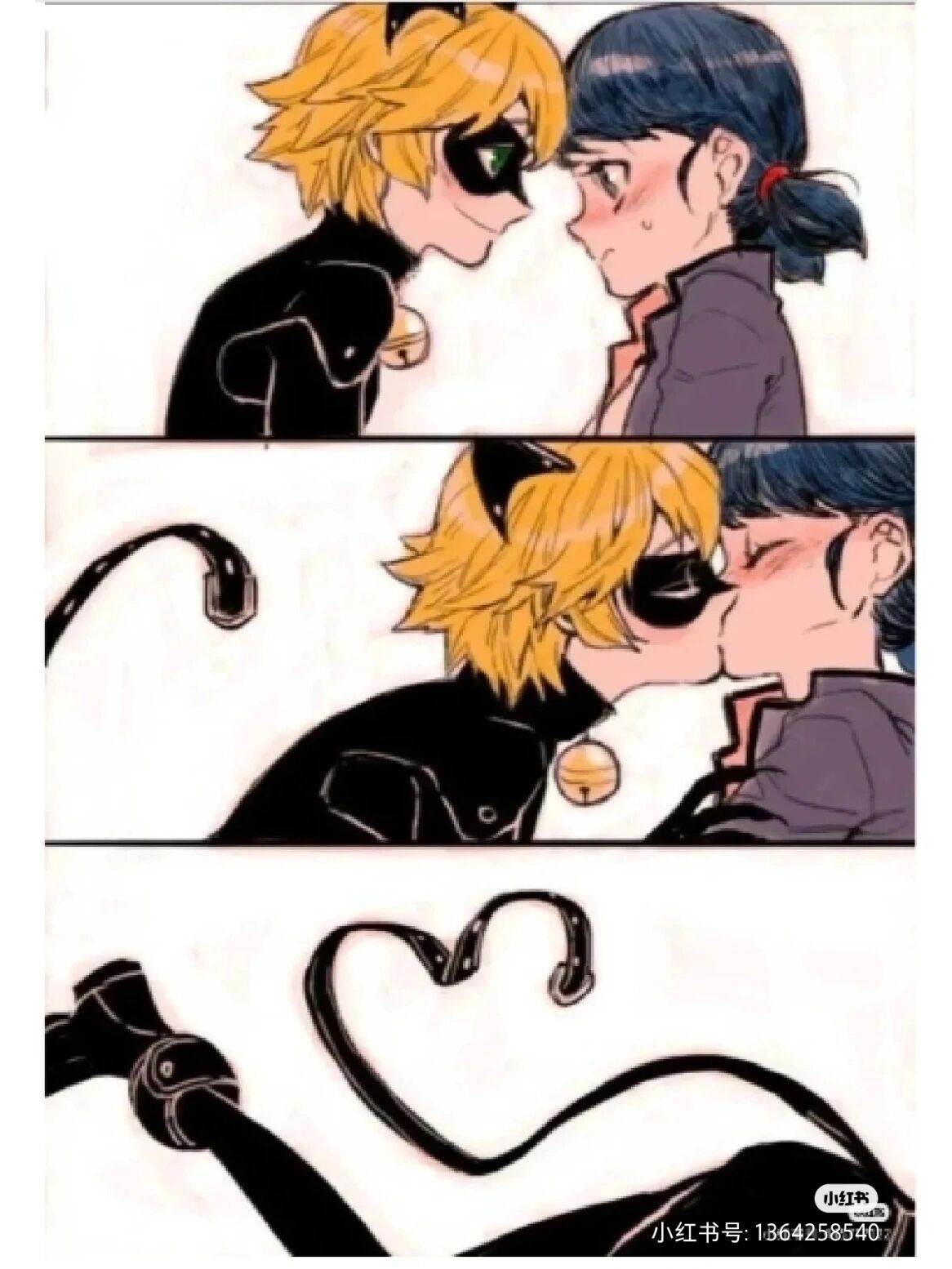 奇迹少女和黑猫罗尔的图片@梦想的孵化器的动态