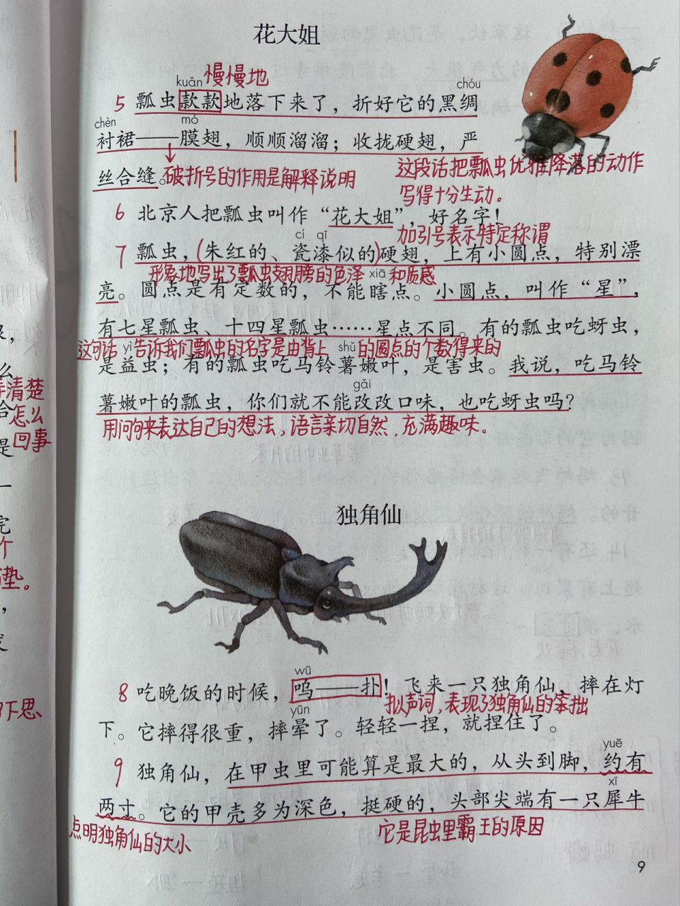 三年级语文下册 第4课《昆虫备忘录》课堂笔记