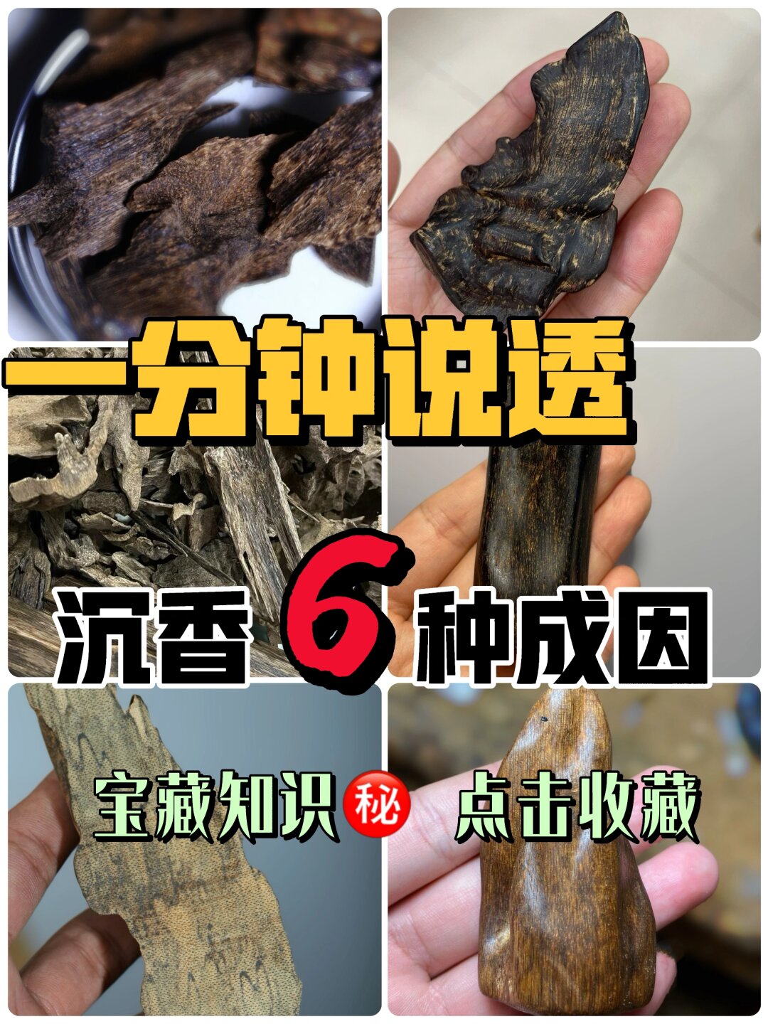 一分钟说透沉香6种成因科普入门收藏 闲话不叙,直奔主题,沉香结香一般
