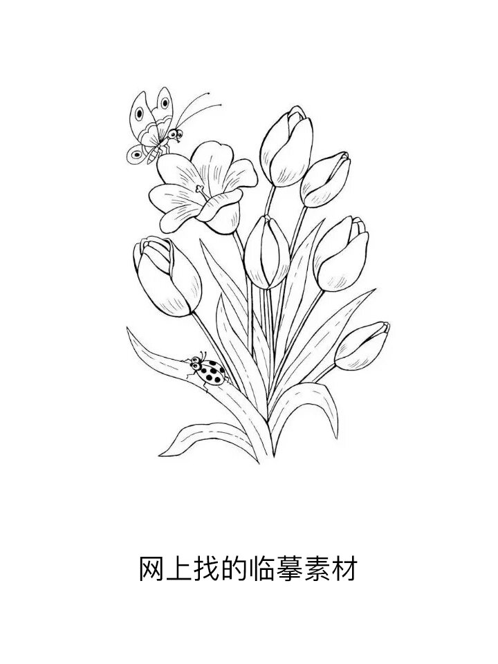 素描怎么画花草图片