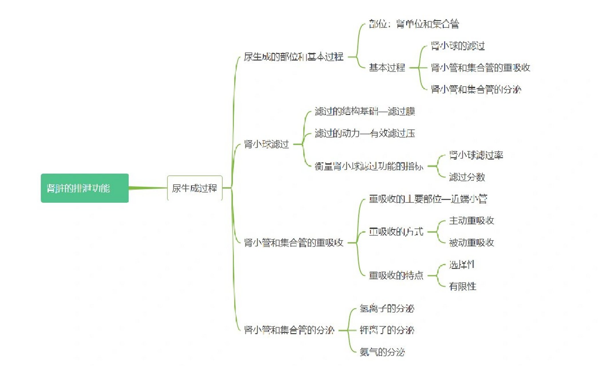 排泄护理知识导图图片