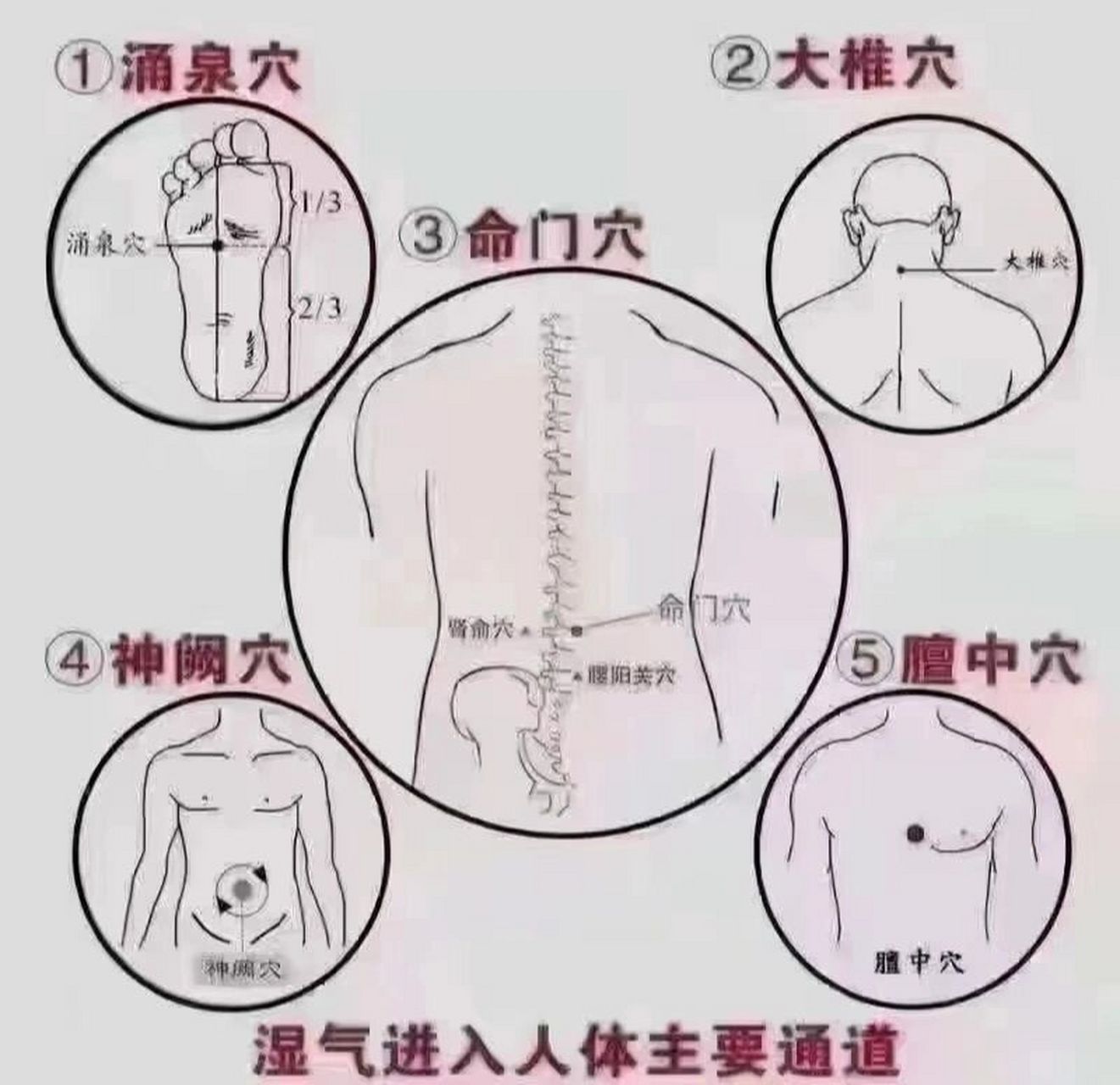 立秋后寒湿气最容易通过这五个穴位进入人体 96立秋
