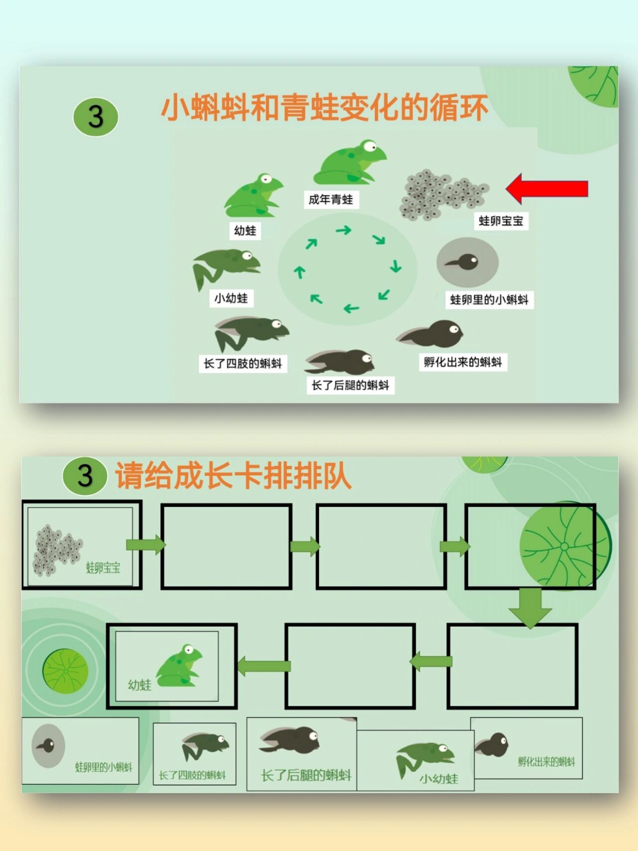 蝌蚪主题网络图图片