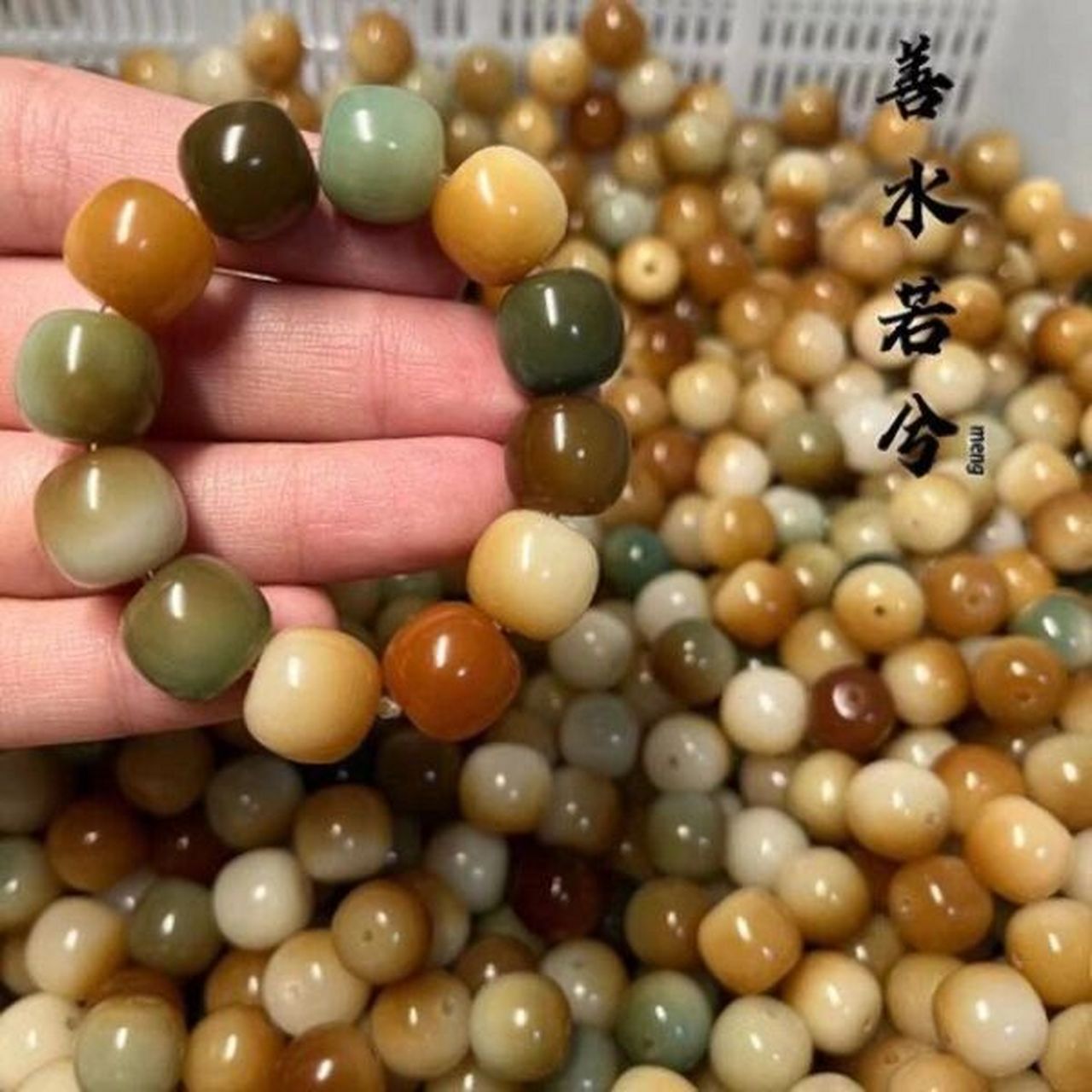 菩提子有几种颜色呢? 菩提子的颜色种类有多种1.具体来说,菩提子的颜