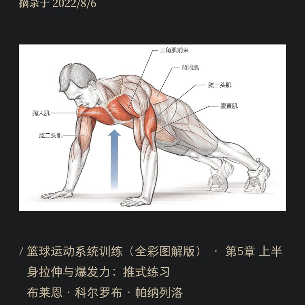 屈膝俯卧撑示意图图片