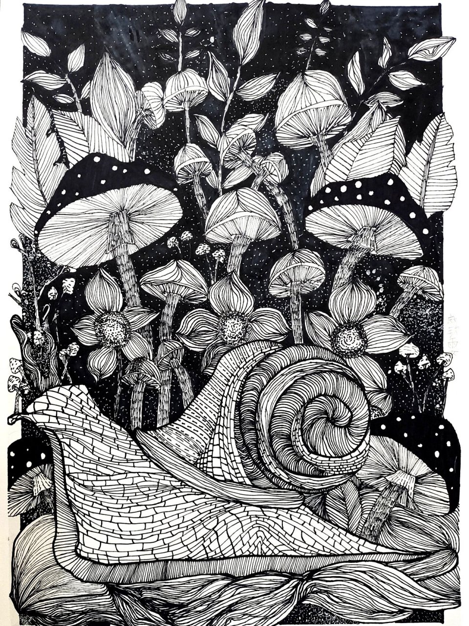 《黑白装饰画》4k画纸 6-9岁 纯线描 儿童绘画 黑白装饰画4开画纸