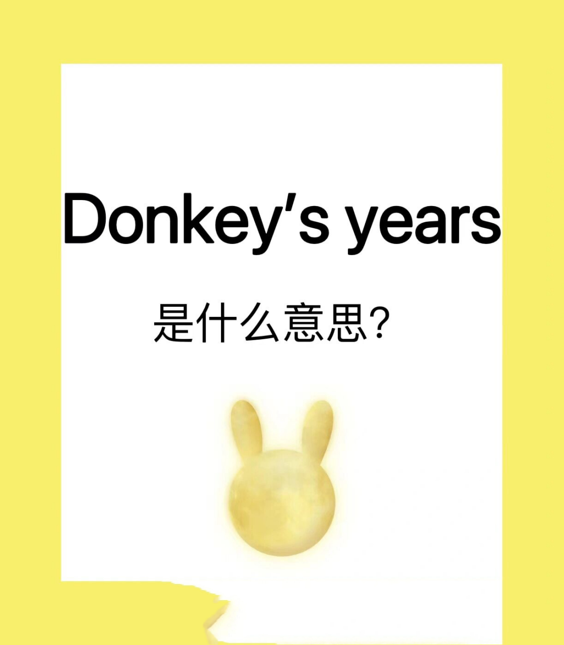 好运连连|"donkeys years"是什么意思? 今夕是何年?难道是驴年?