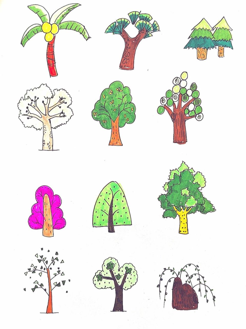 各种大树简笔画颜色图片