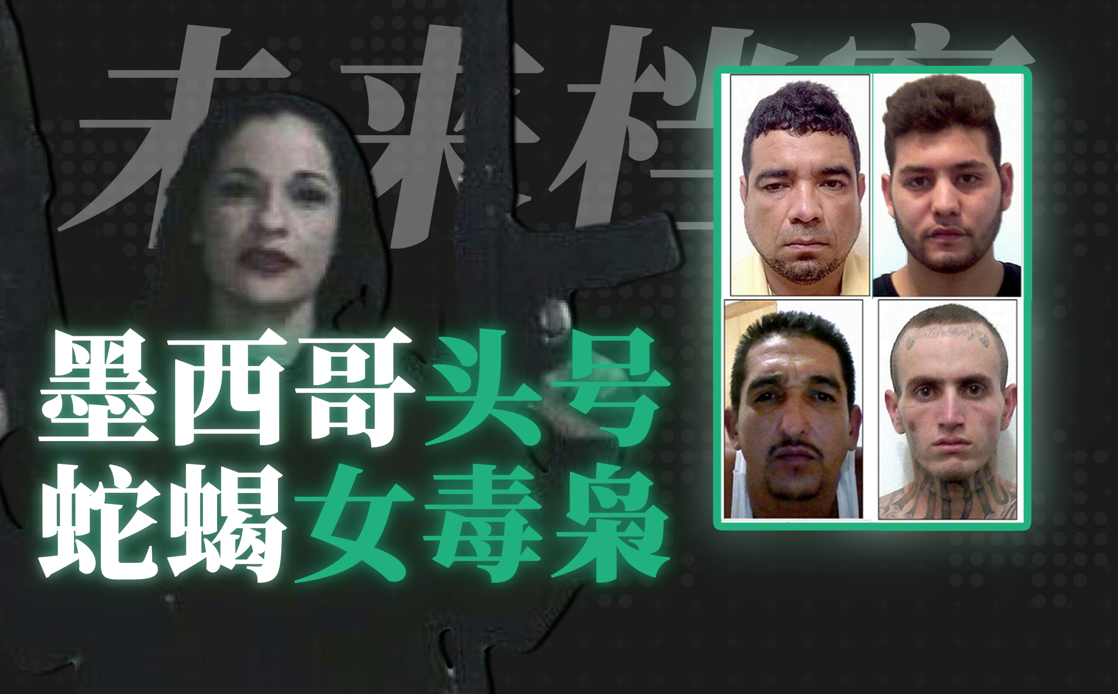 知乎高赞联合创作墨西哥头号蛇蝎女毒枭梅利莎的血腥人生禁毒科普毒枭