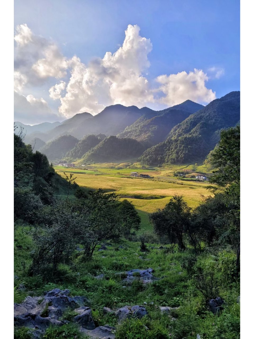 红池坝|中国南方最大的高山草场 60里纵深的红池坝 海拔在1800km-2630