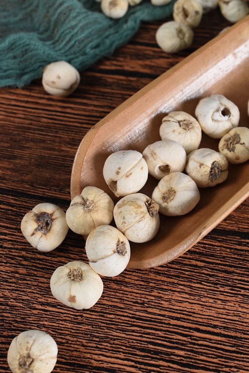 🔸西藏野生藏贝母 藏贝母真正西藏野生的贝母是最好的,真正生吃在