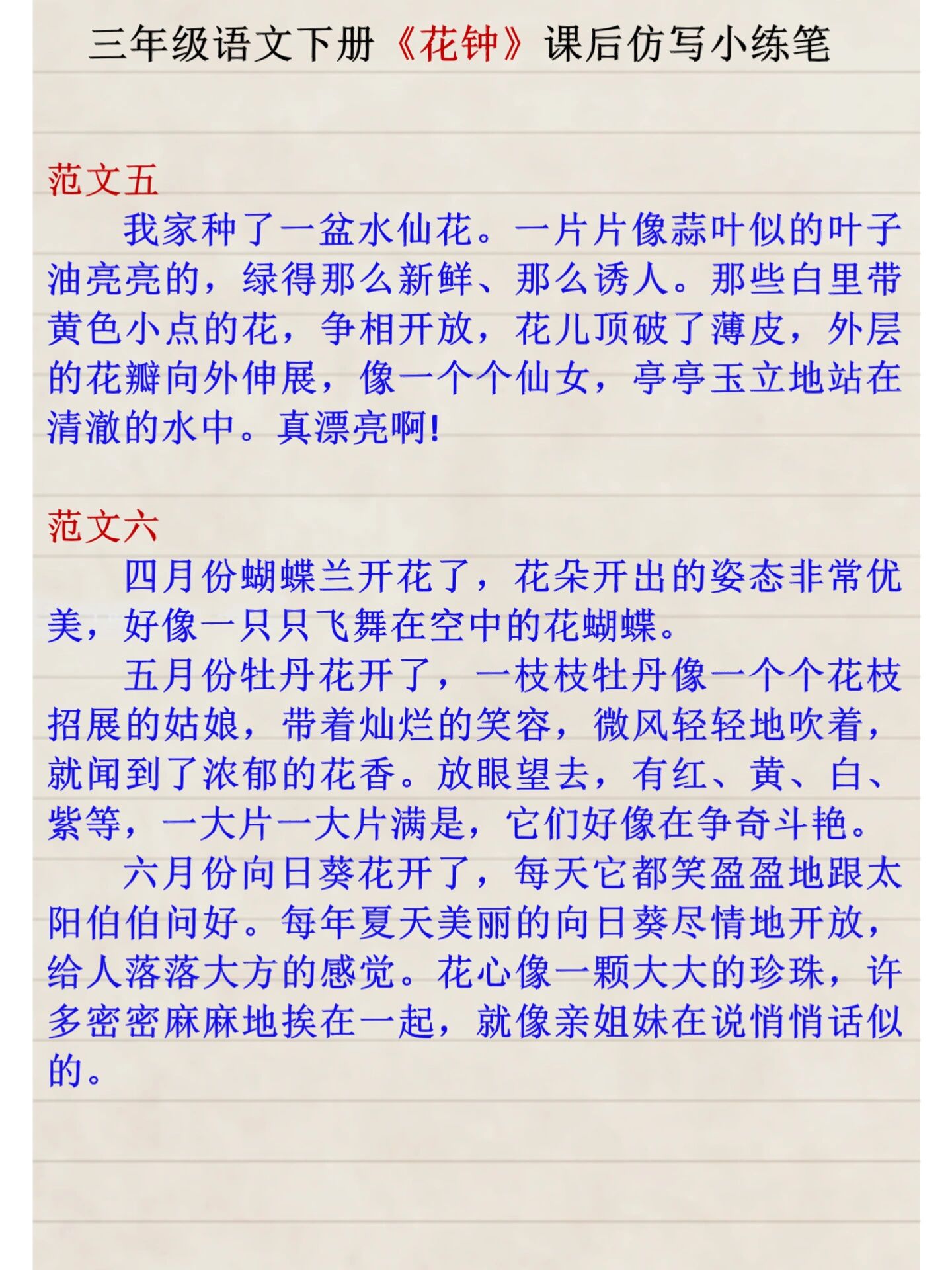 三年级下语文花钟第一自然段课后仿写小练笔