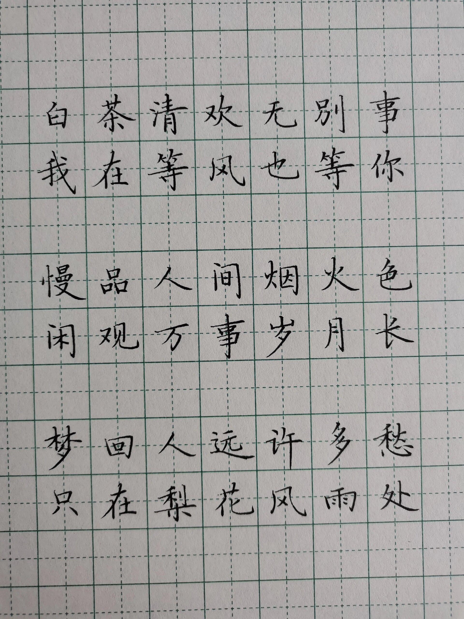 硬笔楷书|简体楷书治愈文案