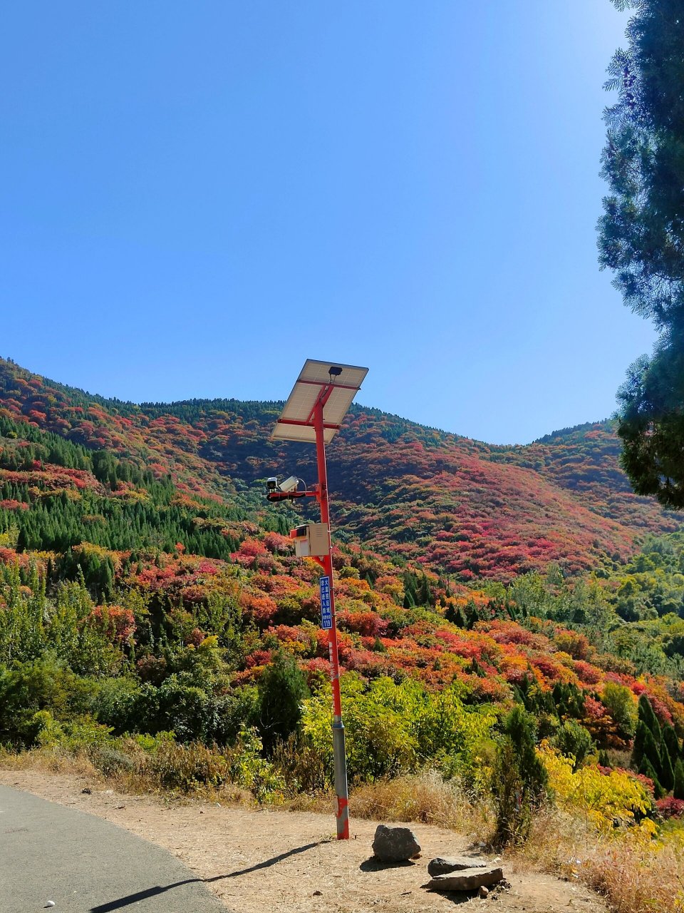 济南可以免费看红叶的好地方 济南市彩石镇捎近村 红色谷