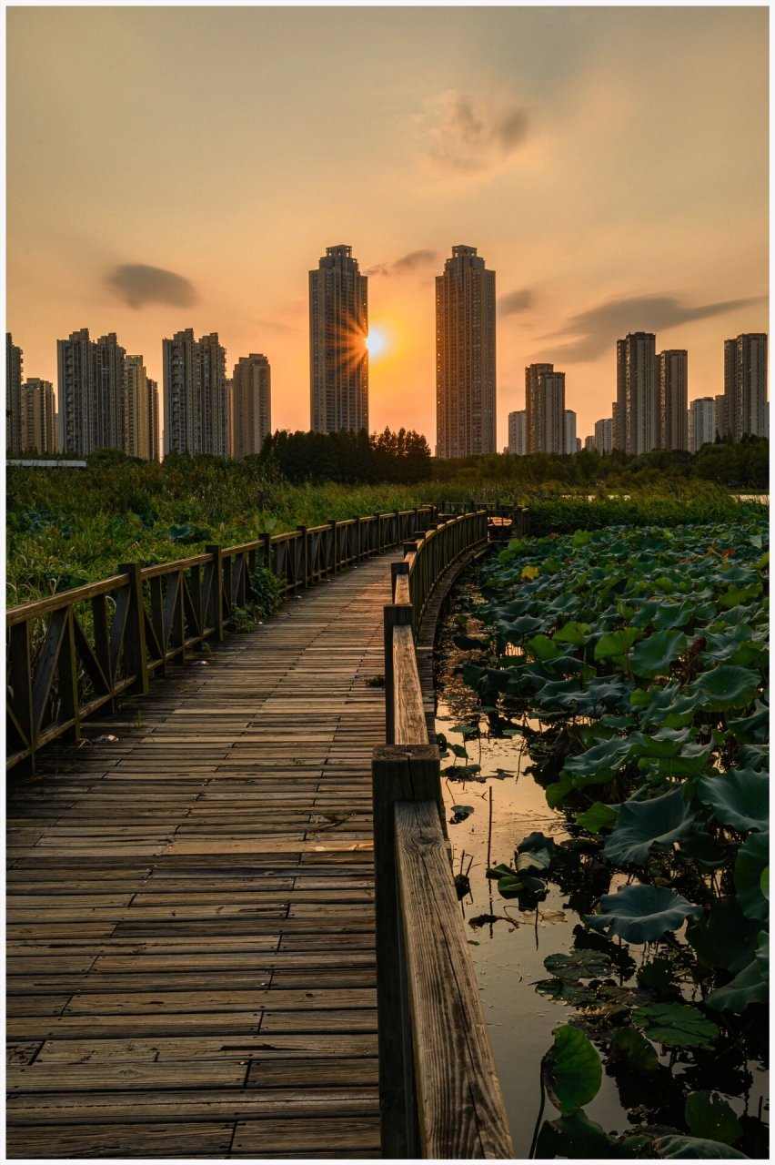东沙湖生态公园 东沙湖公园的傍晚