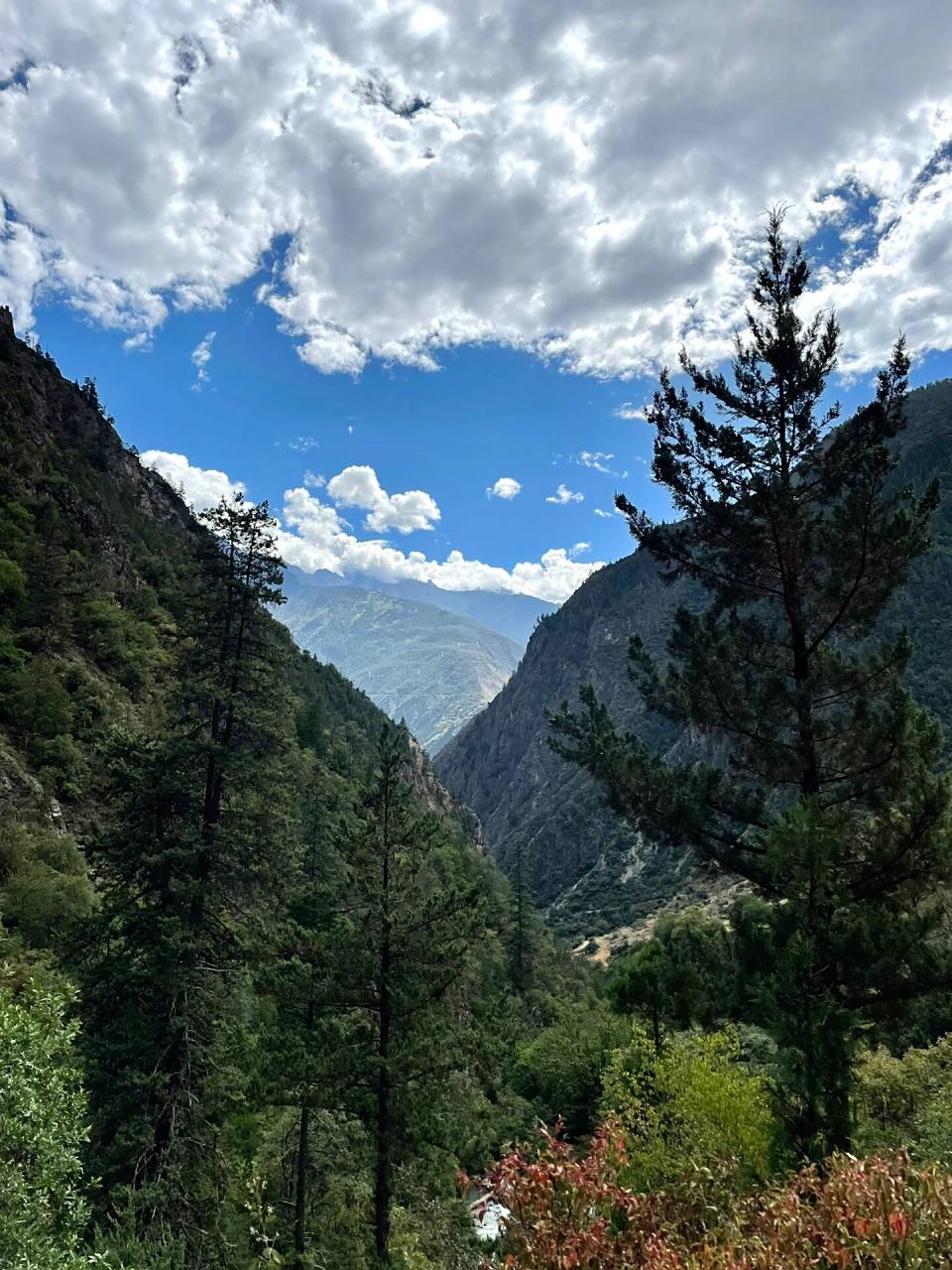 云南德钦雨崩村|尼农峡谷徒步出村901591 7715尼农峡谷