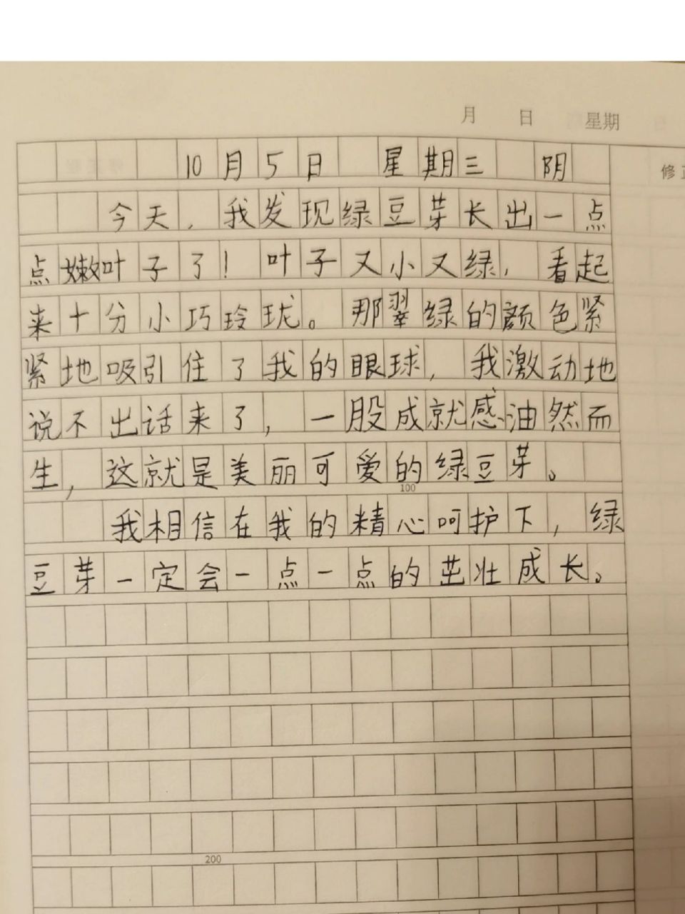 四年级观察日记350字绿豆发芽(小学生四年级观察日记绿豆发芽作文)