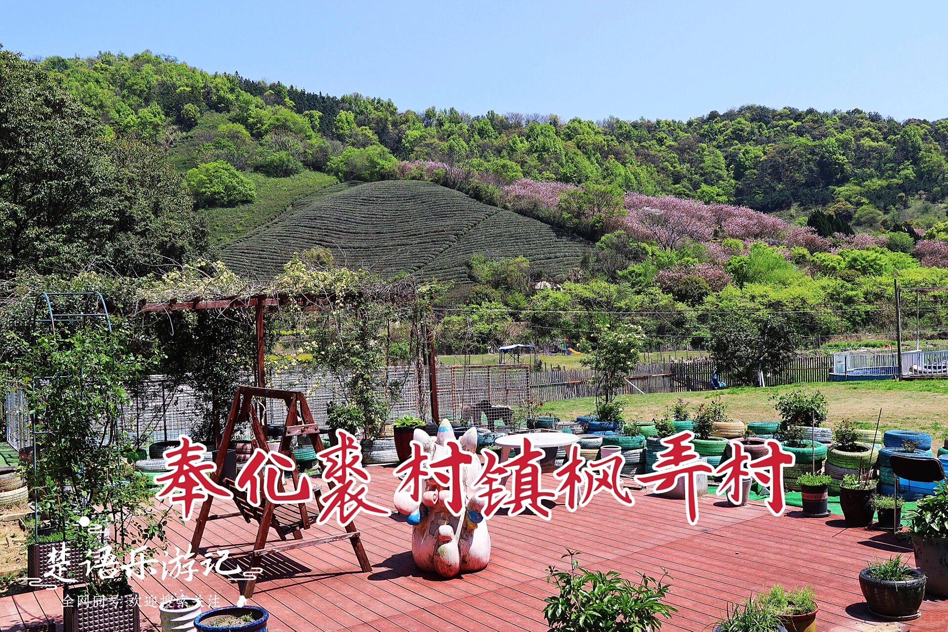 奉化裘村镇枫弄村,谷中无人村景美境幽 宁波市奉化区裘村镇陶坑村的西