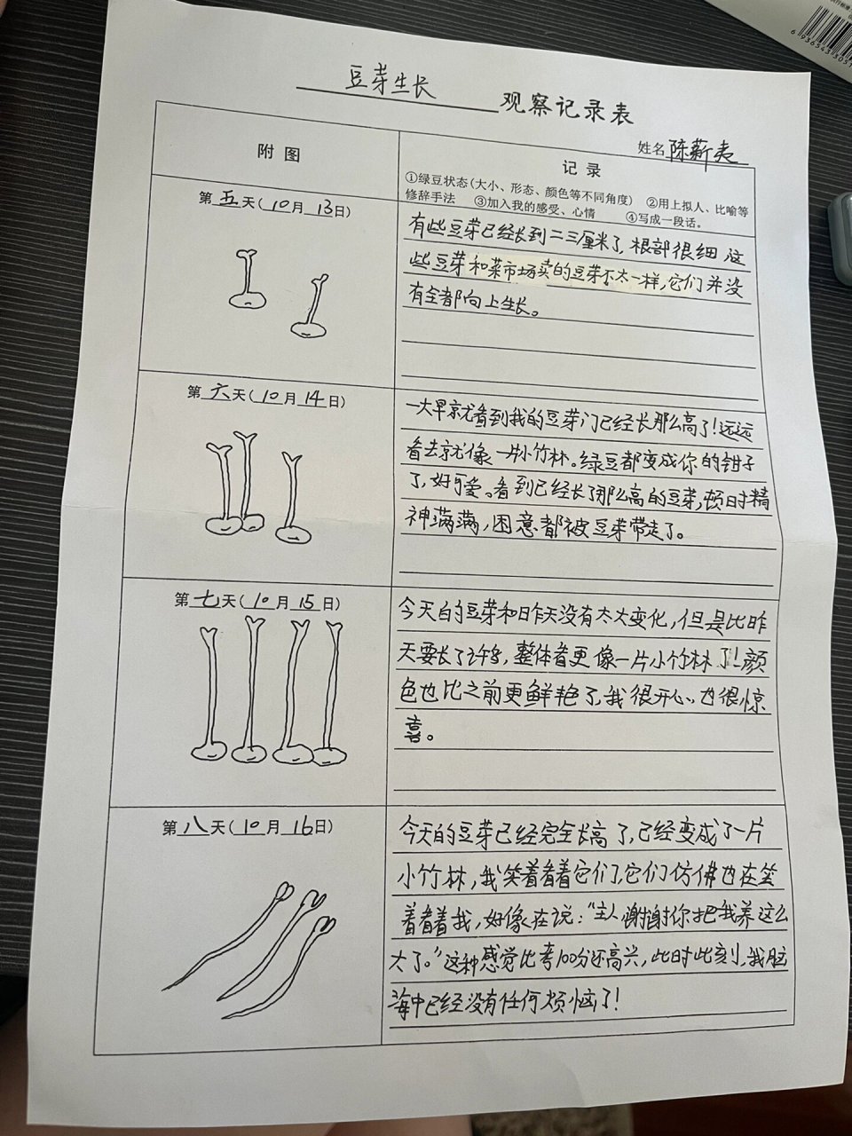 四年级语文作业《豆芽生长观察记录表》