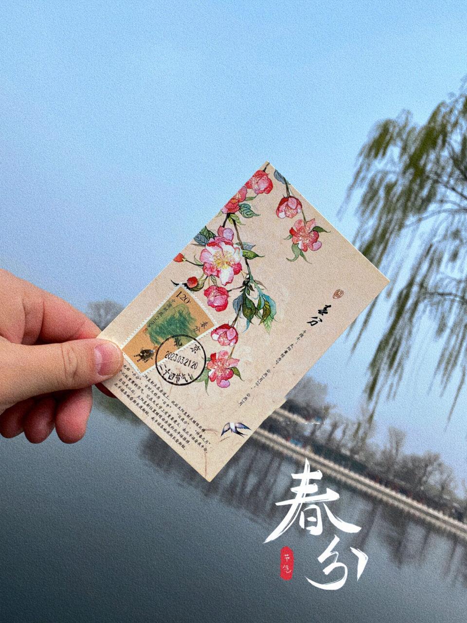 藏在明信片里的二十四节气小浪漫💛🤍❤️🤍 遥寄相思,清明