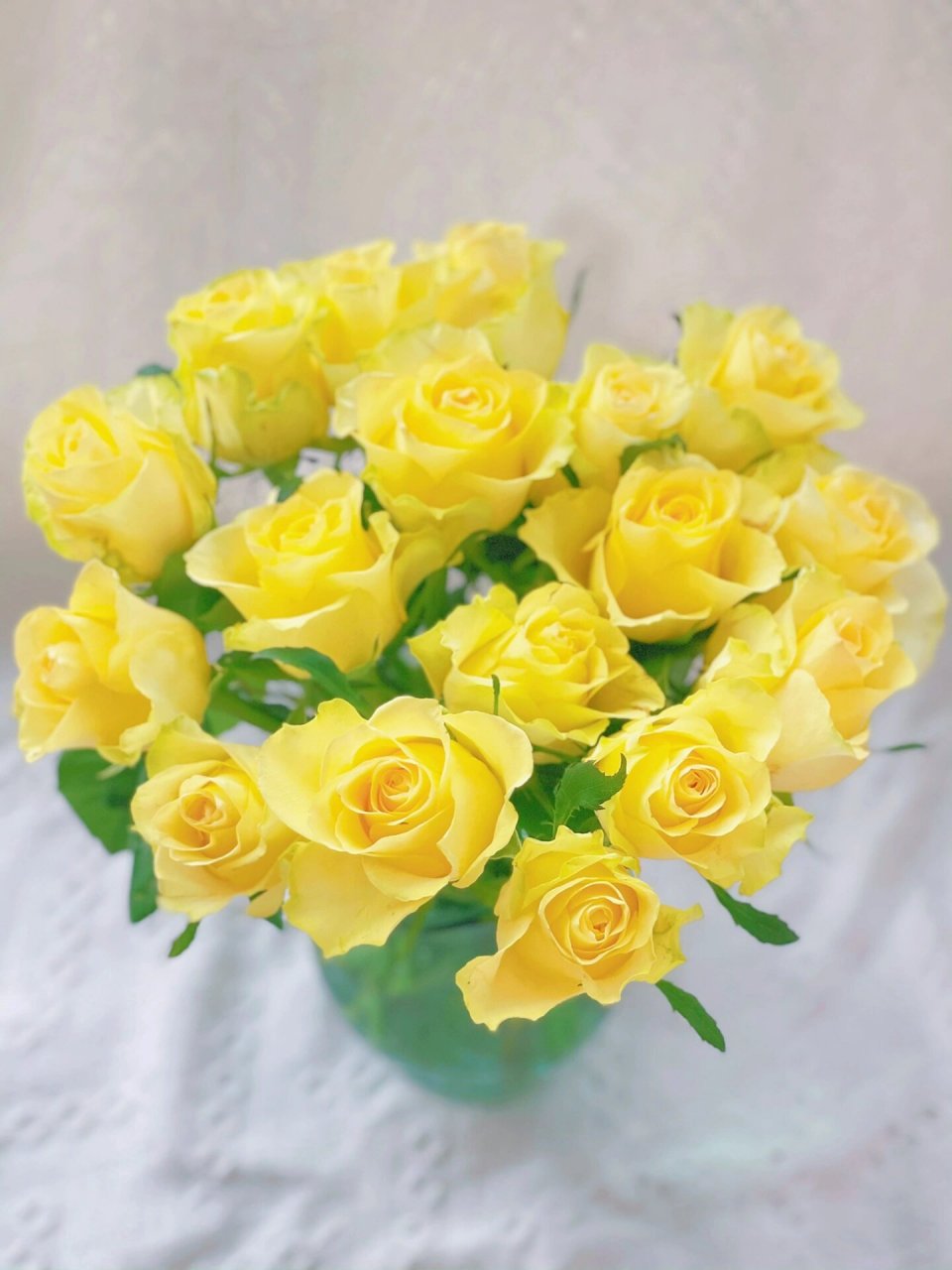 【夏日玫瑰·浪漫沙滩】 暴雨如注的日子里,需要一款明亮的玫瑰来增色