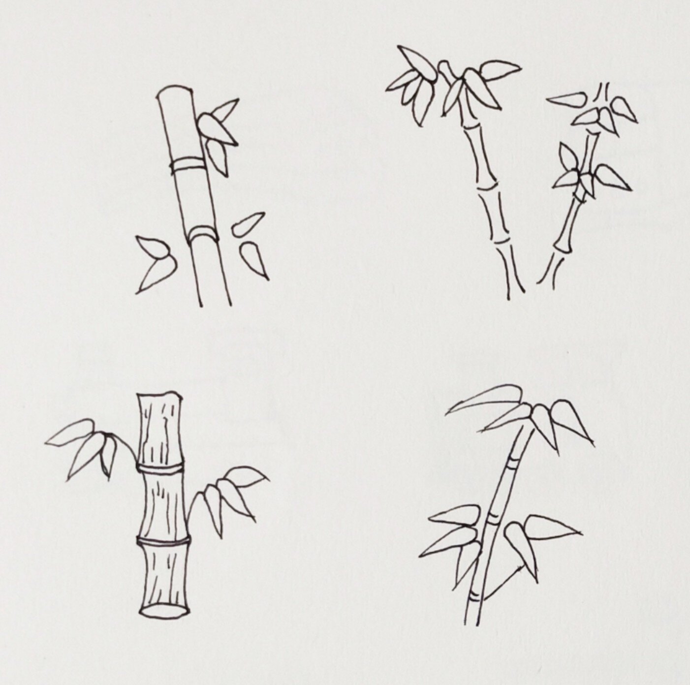 【简笔画】竹子 简笔画 竹子99打卡
