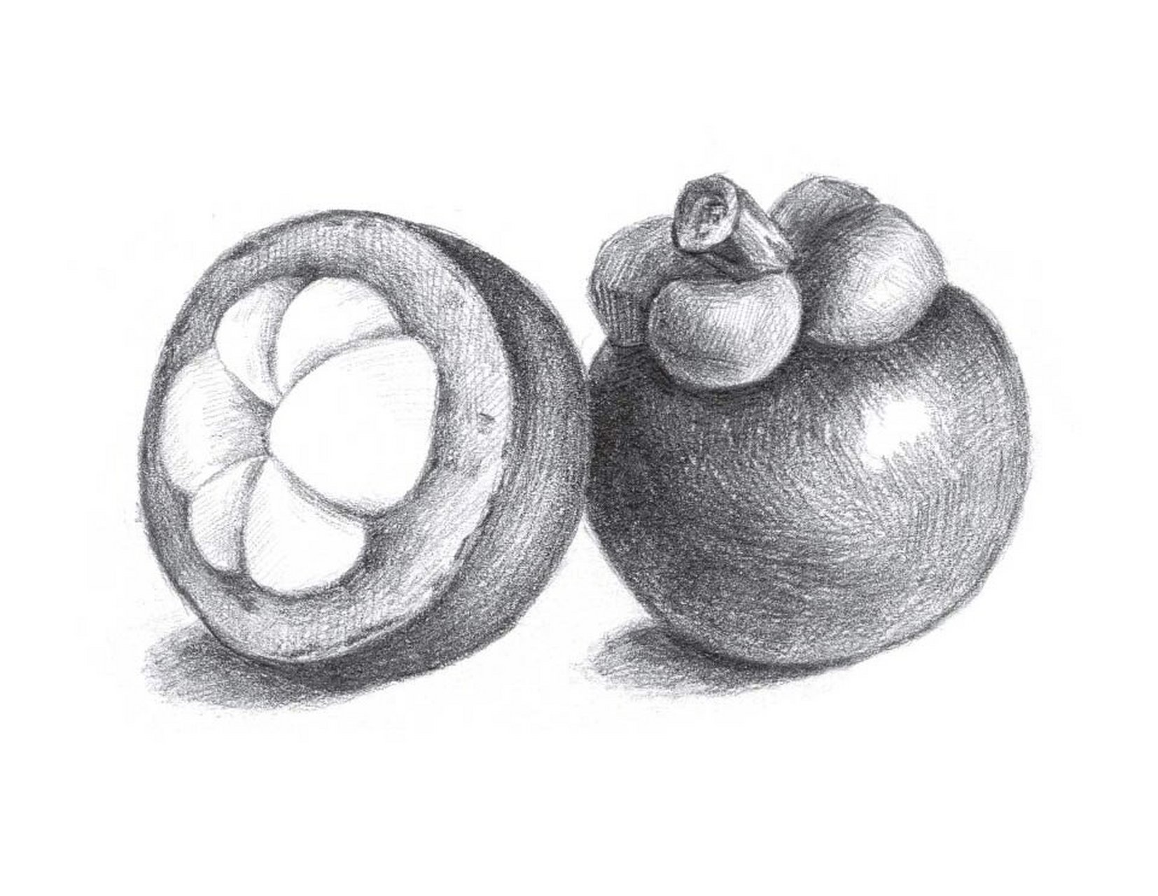 铅笔素描如此简单-山竹 山竹的画法 - 使用铅笔类型:hb 2b 4b 5b - 第