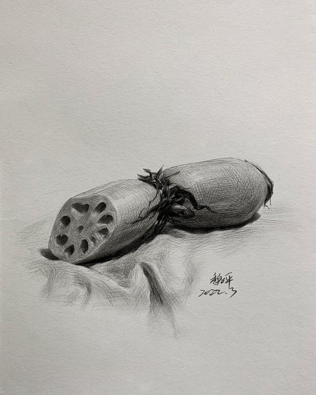 藕|步骤图解析 本文共8张步骤图 内容从起形到塑造