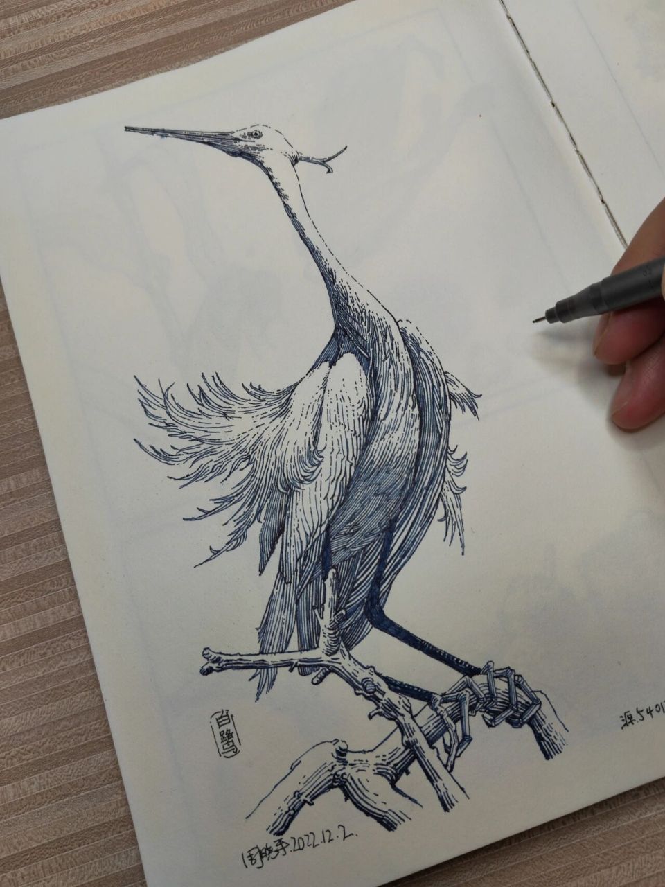 【钢笔画】白鹭 感觉仙骨道风的感觉