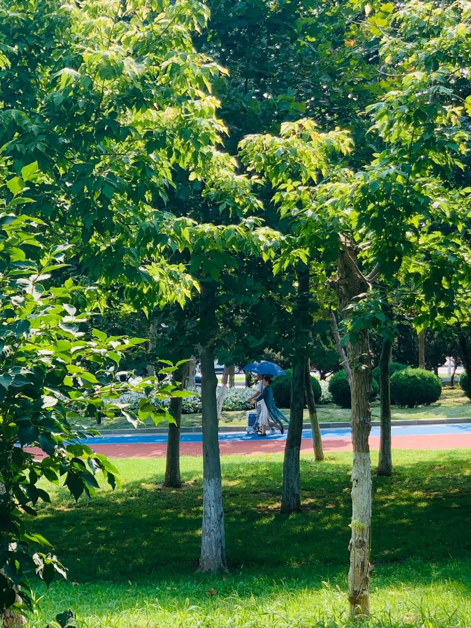 大连|明珠公园随手拍 阳光正好 晨练 随手拍下的图片