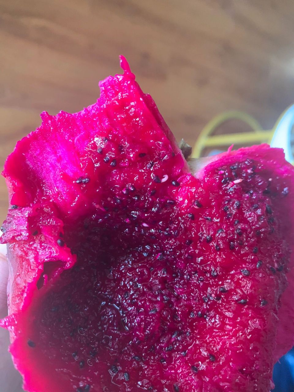 火龙果的籽在火龙果里发芽了?