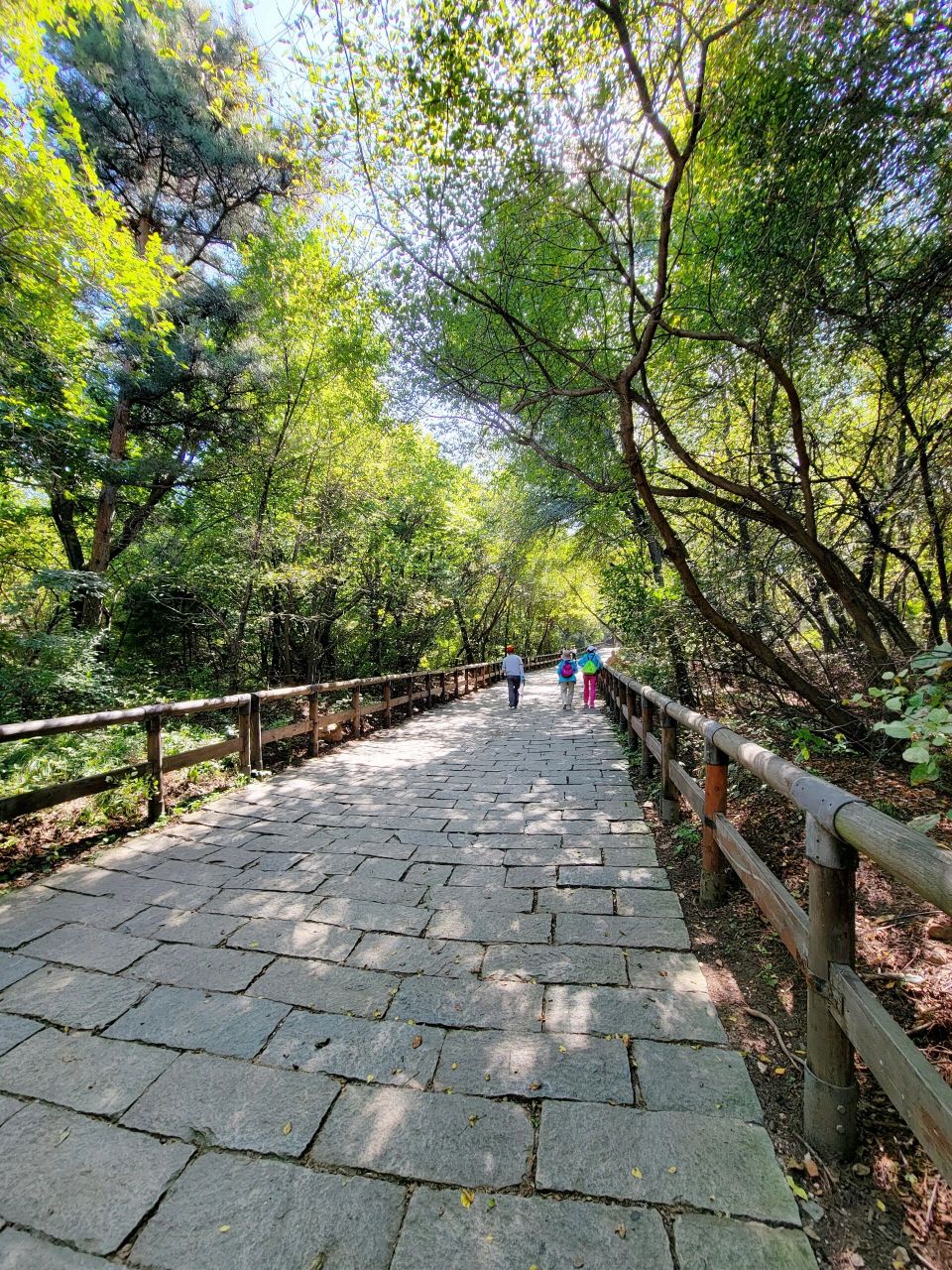 棋盘山大溪地登山入口图片