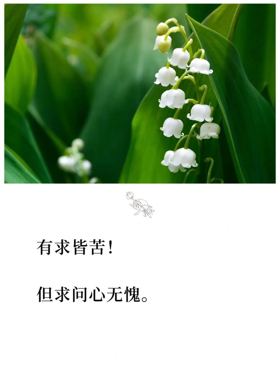 有求皆苦,但求问心无愧 #禅悟人生