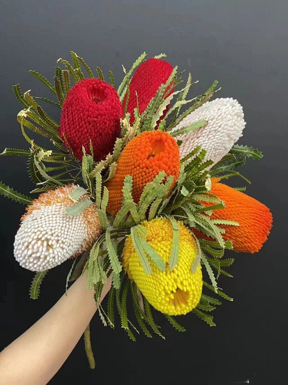 南非花材佛塔多款颜色,可做干花,花期长 南非佛塔,又名:斑克木.