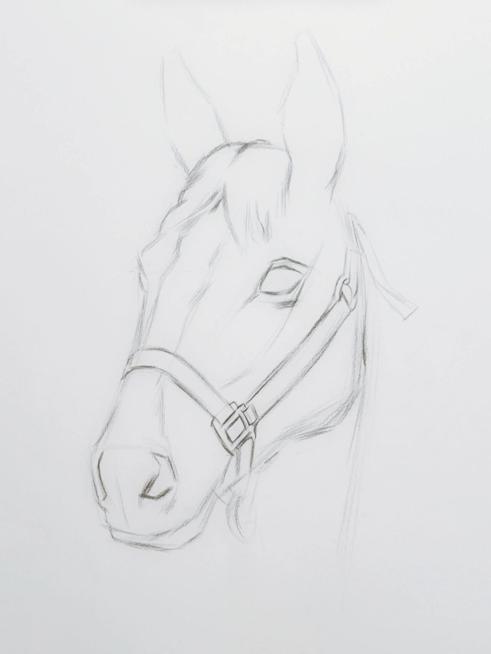 马到成功—素描绘画步骤