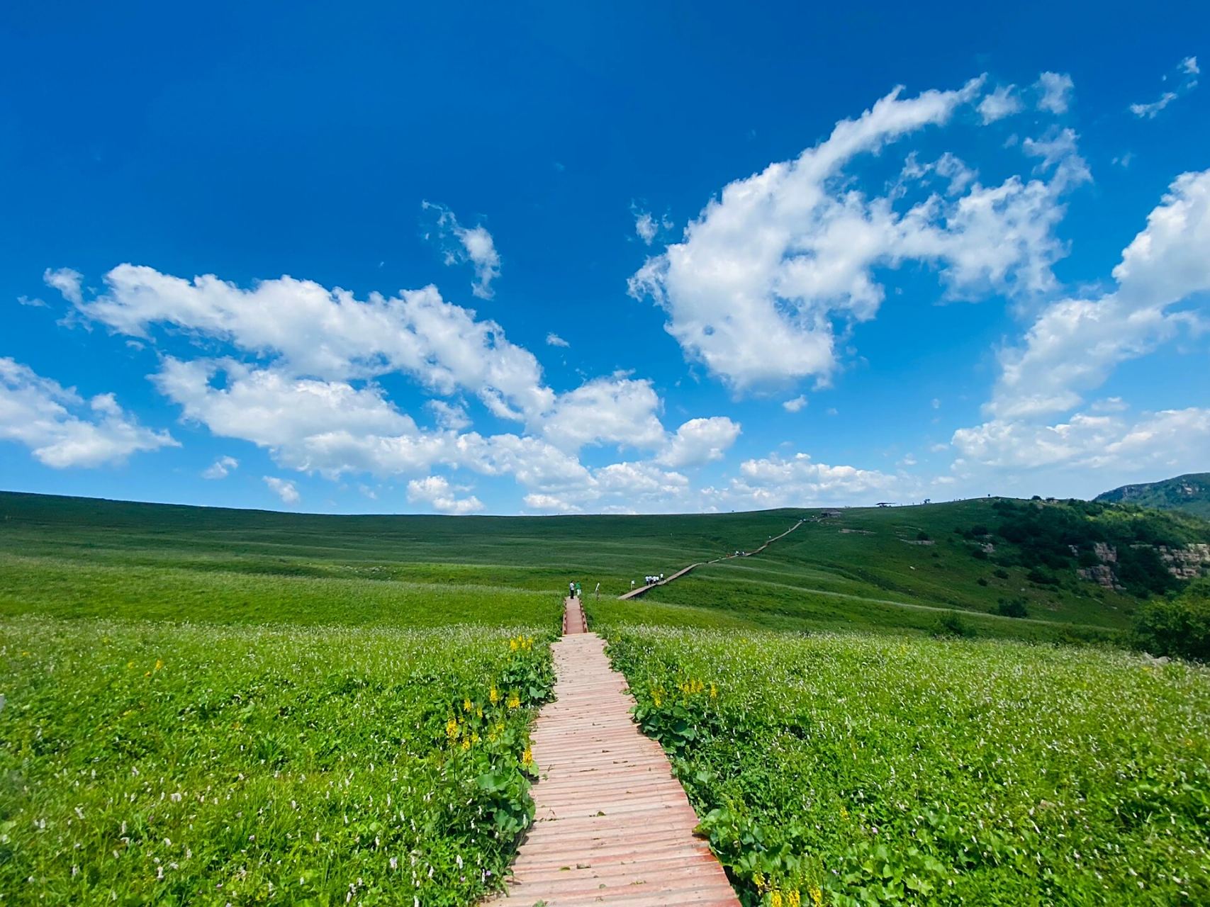 洛阳周边游 | 小伊犁舜王坪-绝美高山草甸 99山西历山舜王坪!